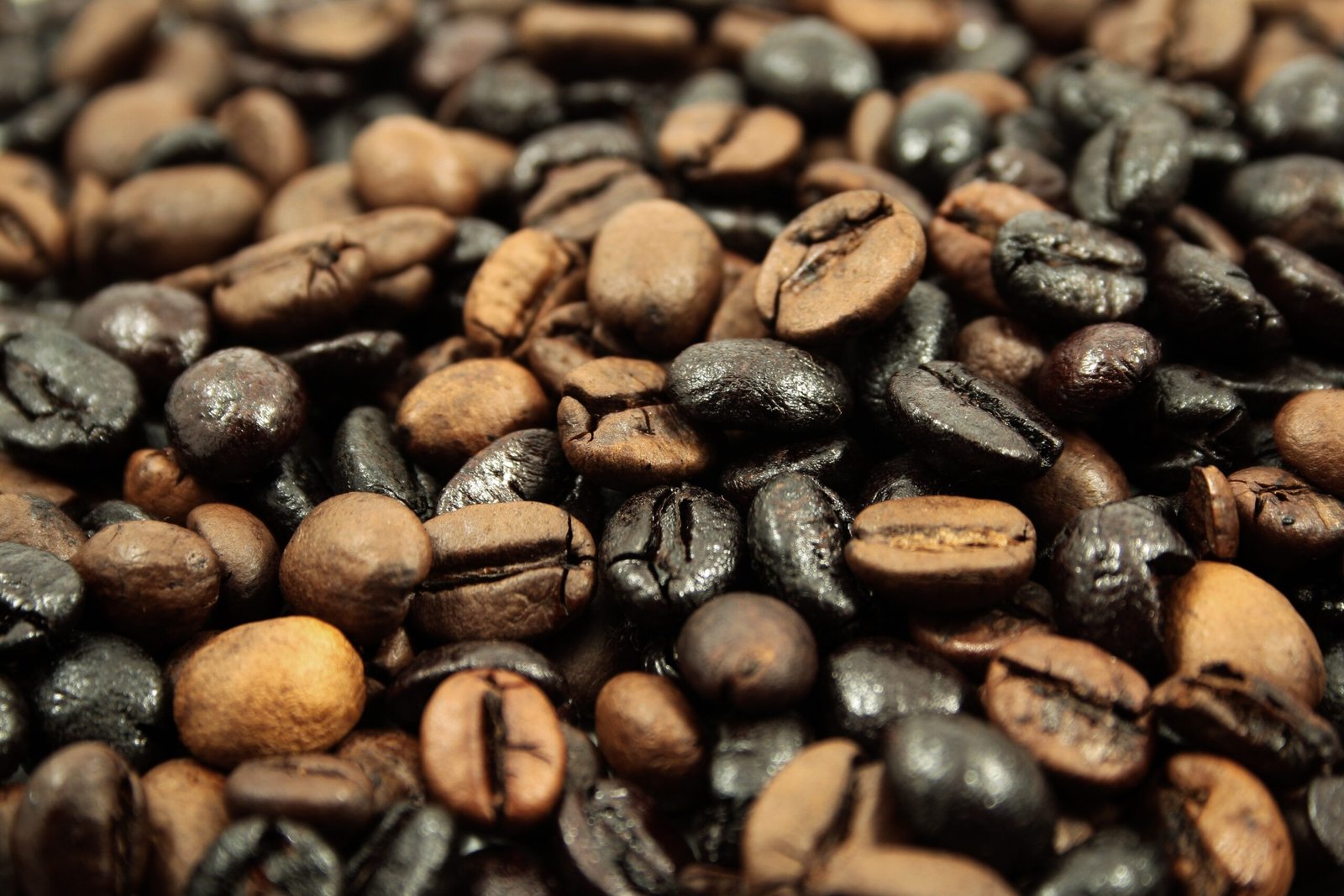 Ethiopia · Yirgacheffe · G1 Washed · Medium Roast - Image 2