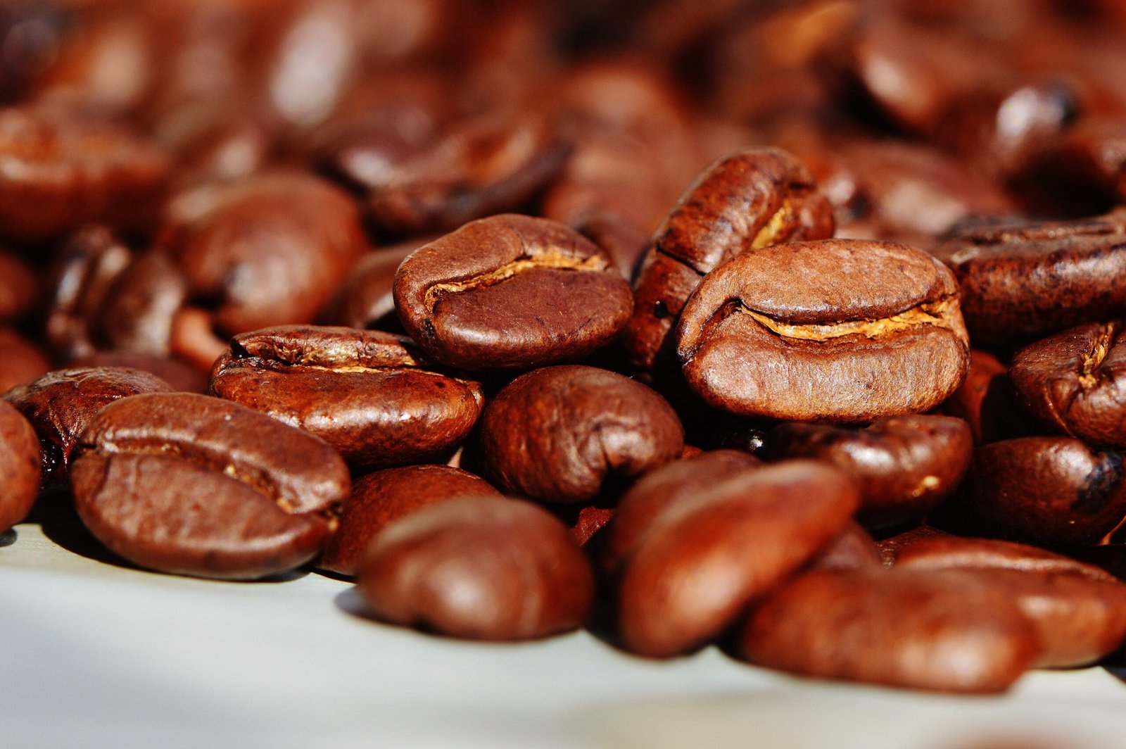 Panama · Geisha · Natural · Light Roast - Image 4