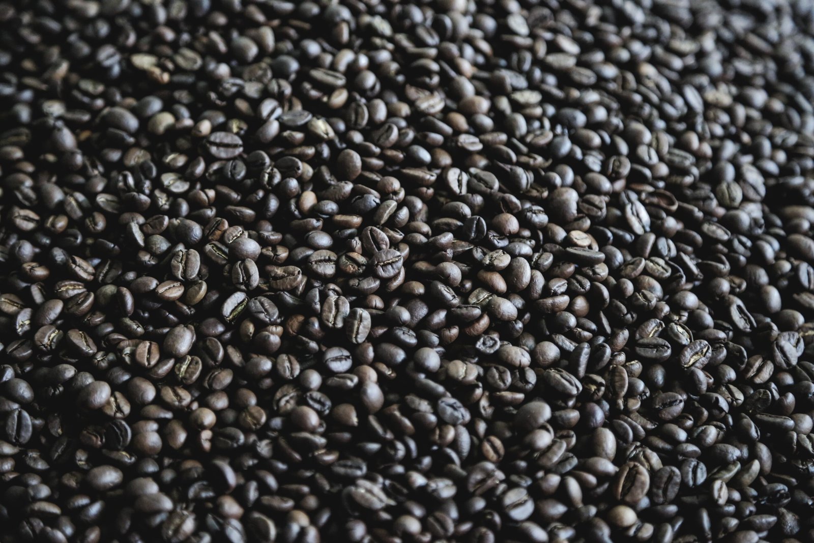 Ethiopia · Yirgacheffe · G1 Washed · Medium Roast - Image 3