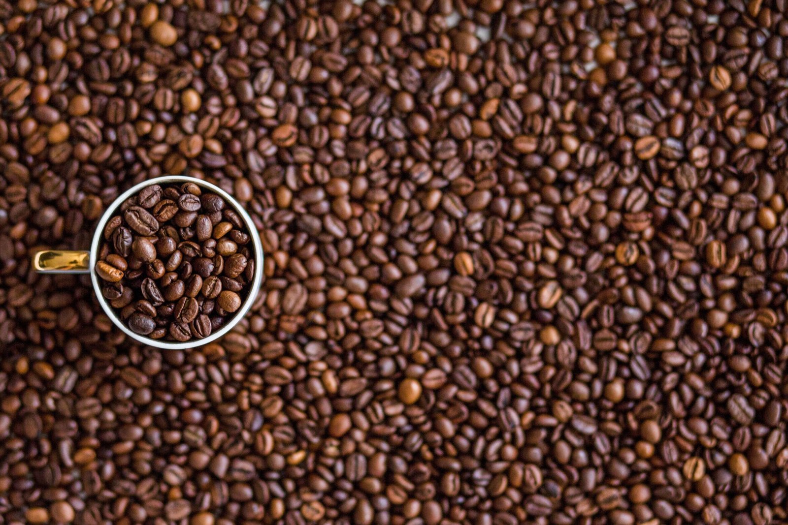 Ethiopia · Yirgacheffe · G1 Washed · Medium Roast - Image 4